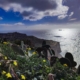 Dingli Cliffs a Malta, escursione fino alle Blue Grotto