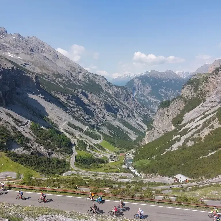 Enjoy Stelvio