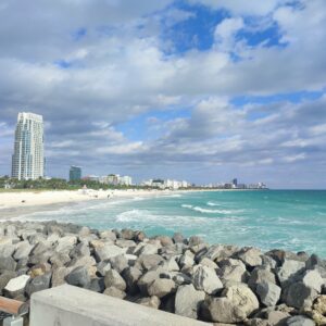 immagine da South Point Park Pier