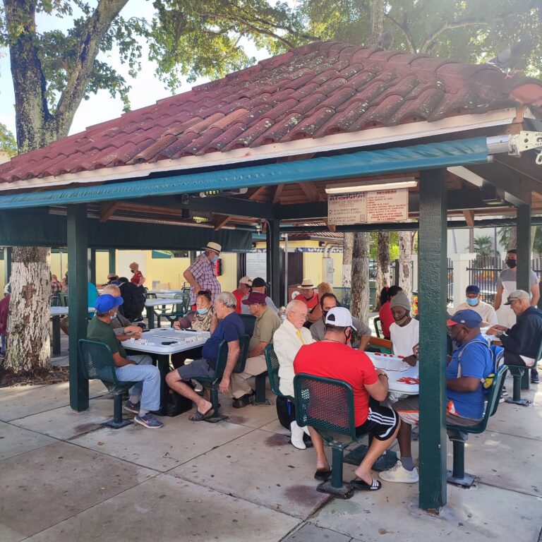 foto di giocatori di domino a Domino Park