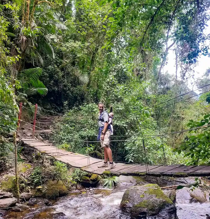 Trekking nella Valle del Cocora