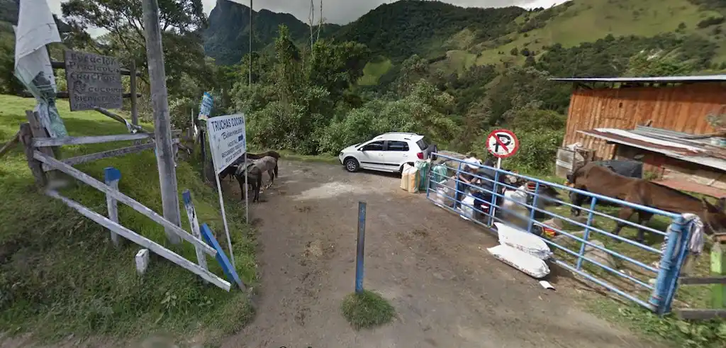 trekking nella Valle del Cocora