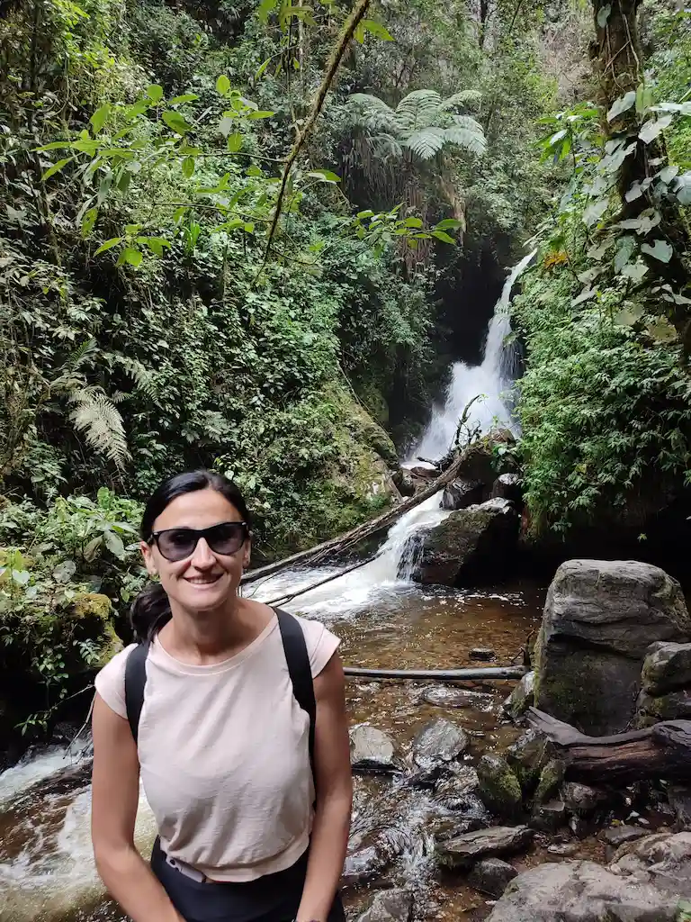 Trekking nella Valle del Cocora