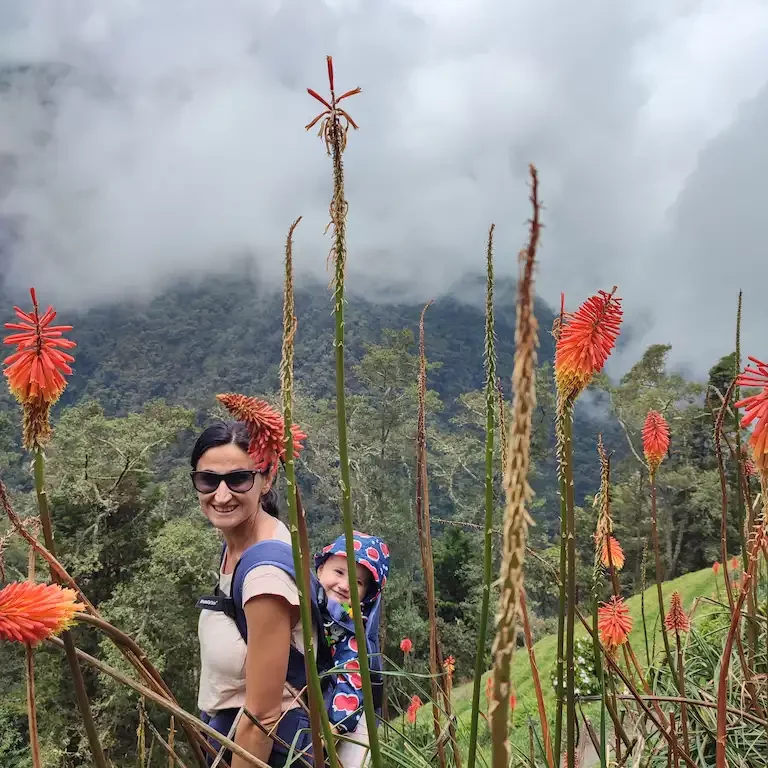 Trekking nella Valle del Cocora