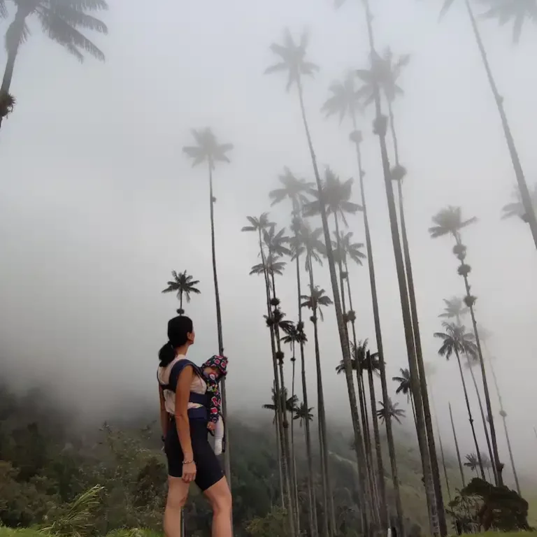 Trekking Valle del Cocora