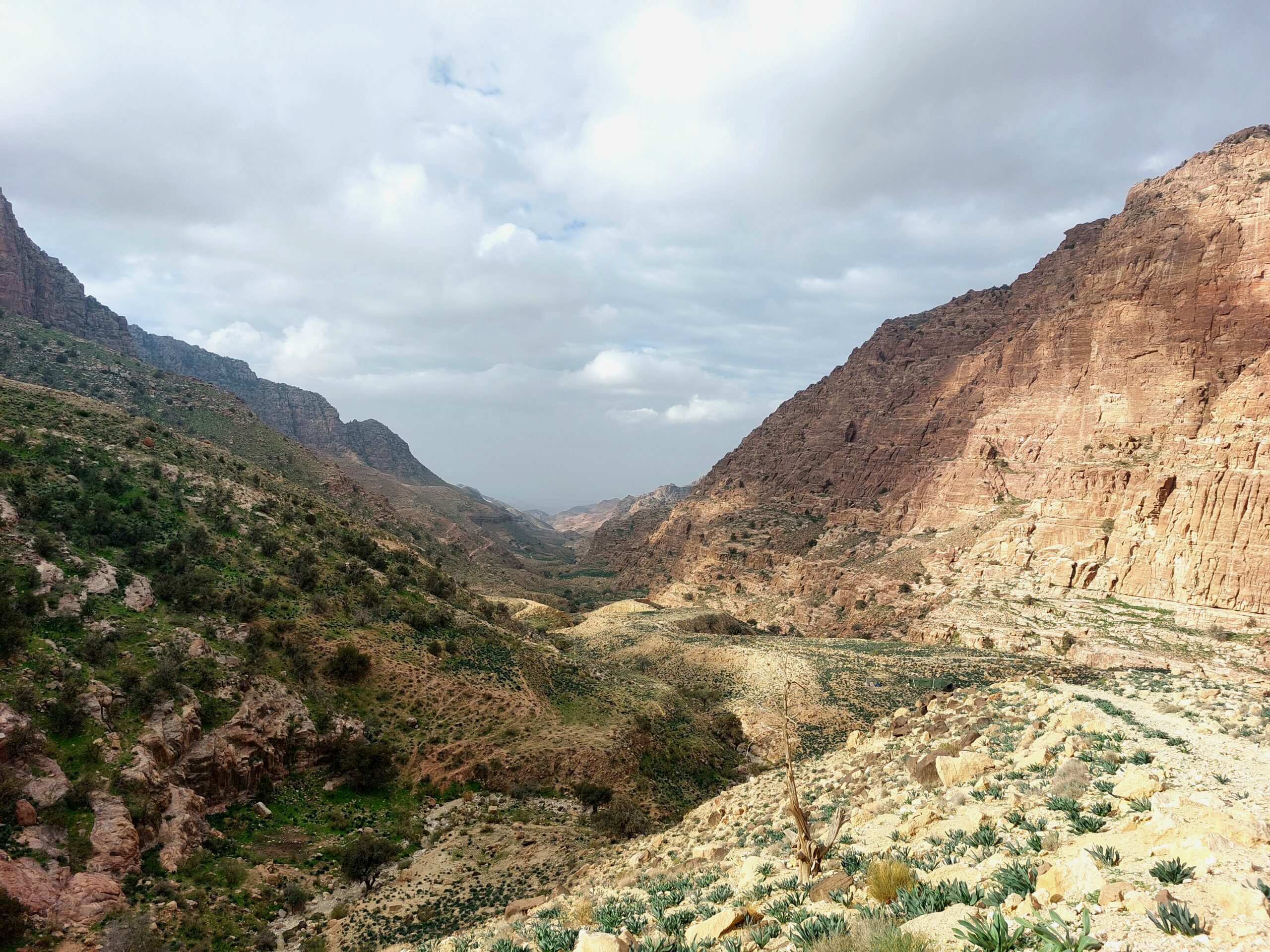 Immagine riserva naturale Dana in Giordania