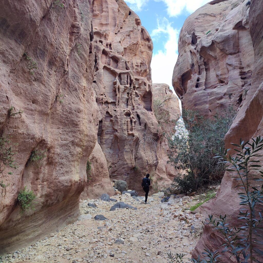 Immagine canyon Dana