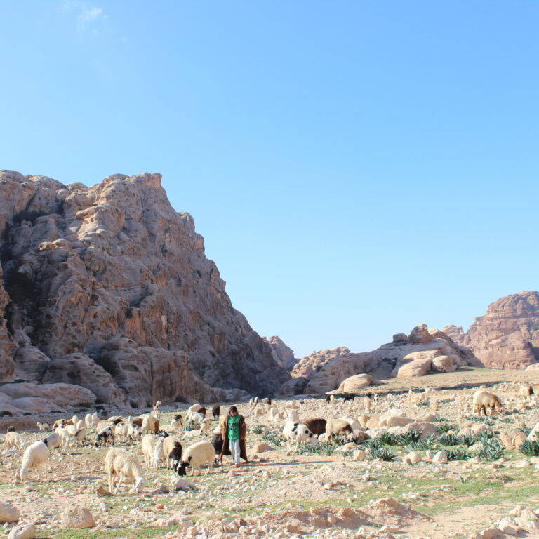 trekking Piccola Petra, Petra