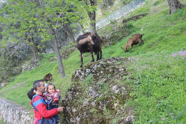 Albania con bambini