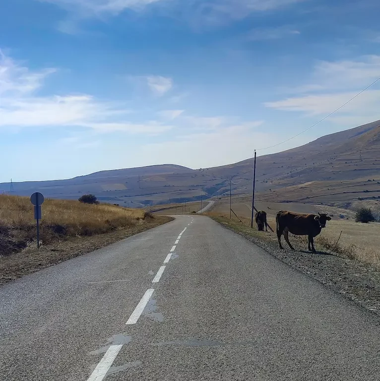 condizioni strade, strade di montagna